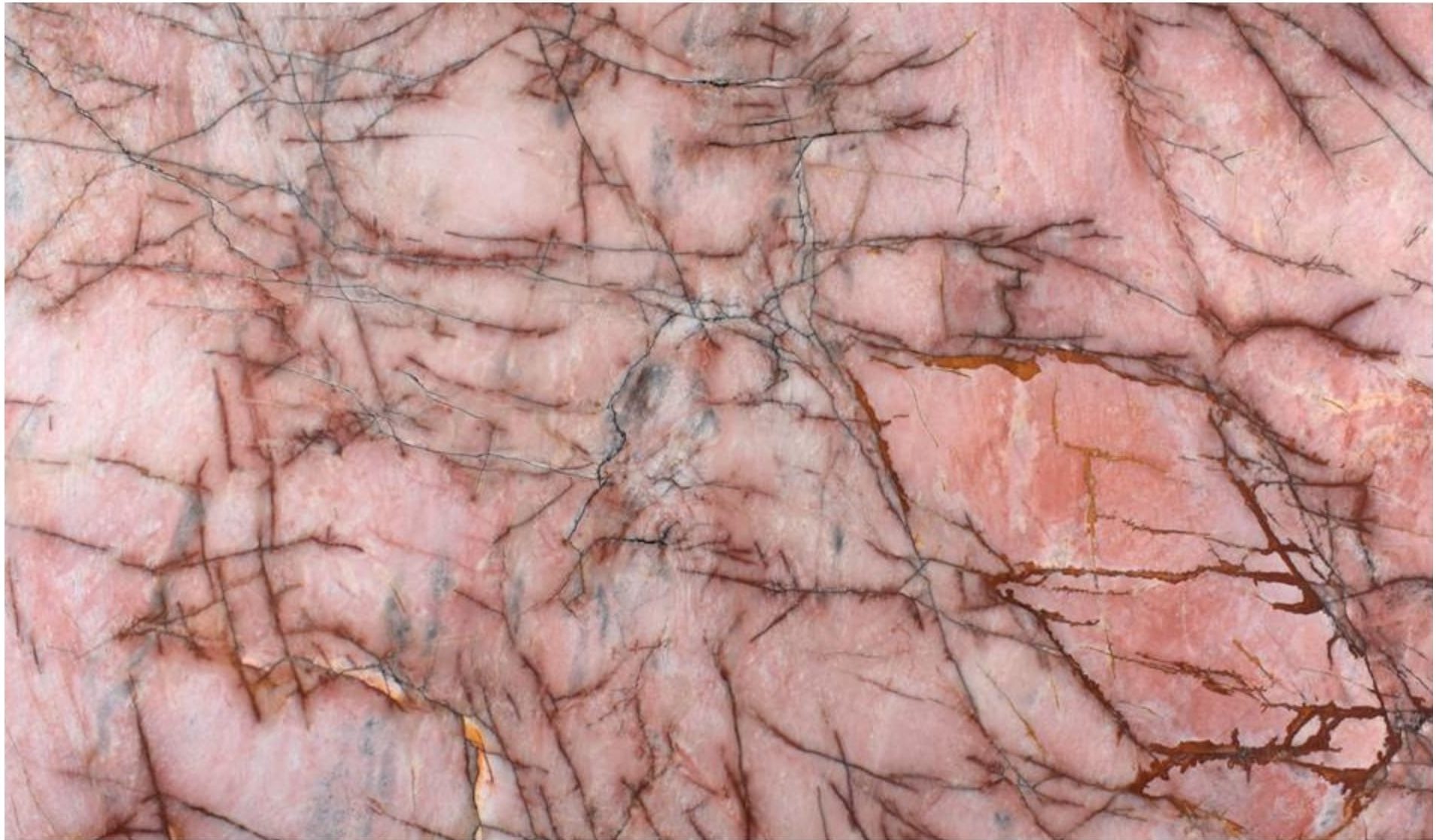 Cosmopolitan Quartzite